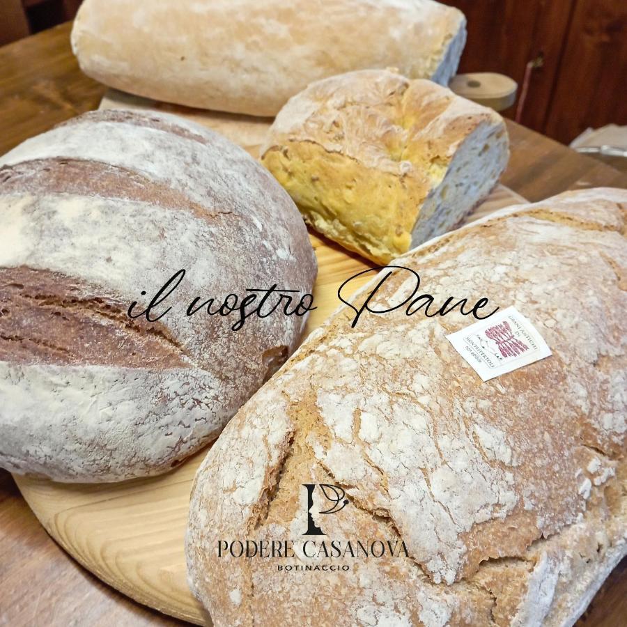 Podere Casanova Montespertoli Bagian luar foto
