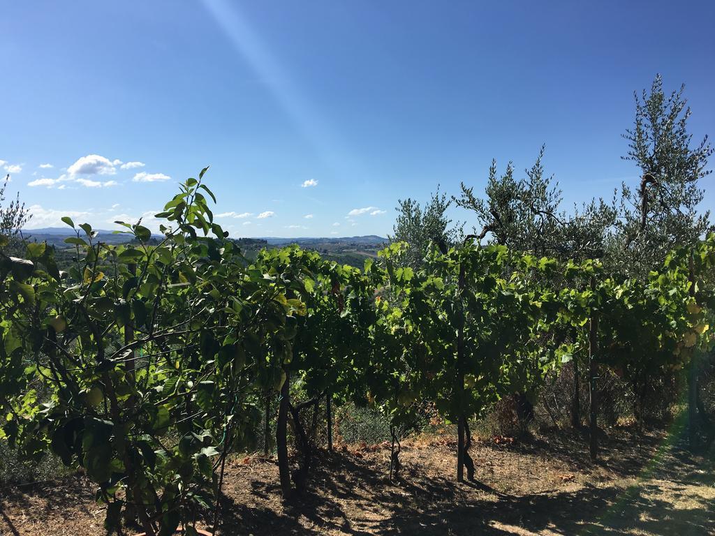Podere Casanova Montespertoli Bagian luar foto