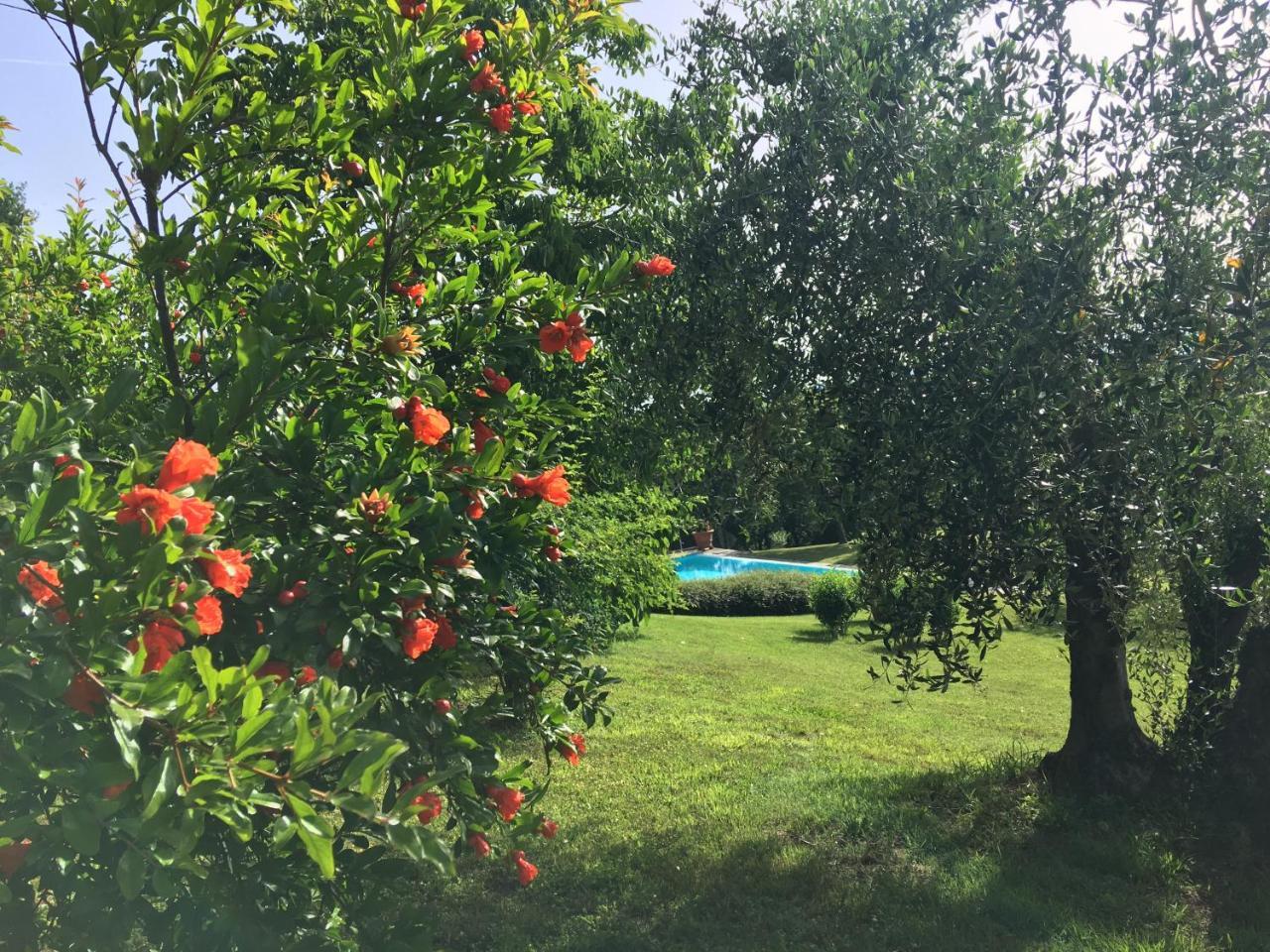 Podere Casanova Montespertoli Bagian luar foto
